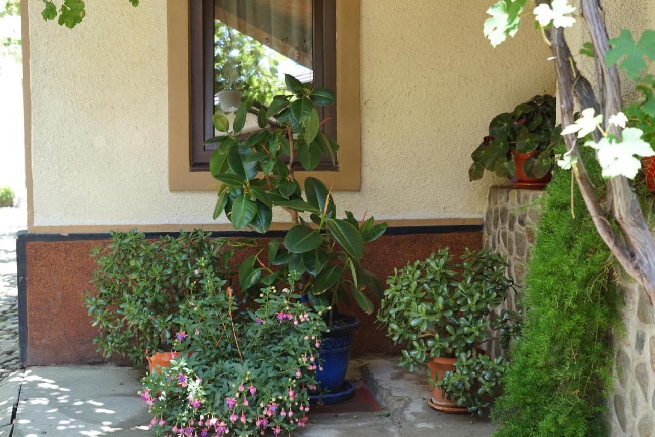 Casa Ciortea Ana Sibiel Buitenkant foto