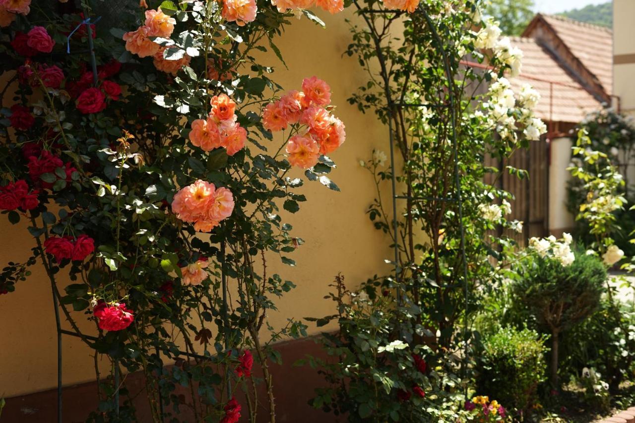 Casa Ciortea Ana Sibiel Buitenkant foto
