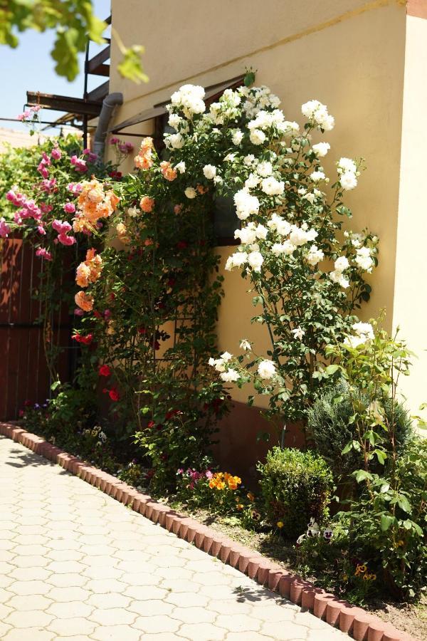 Casa Ciortea Ana Sibiel Buitenkant foto